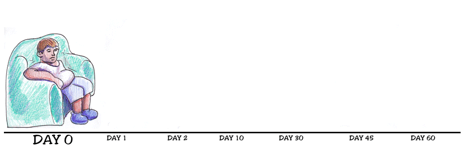 Front Cover: Run 0 to 60 Minutes in 60 Days